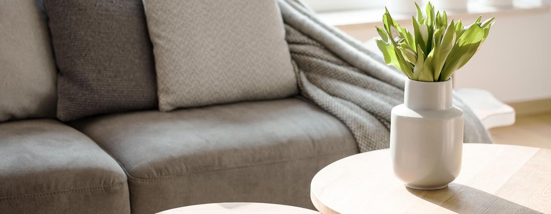 sunlight pours through a large window in furnished living room